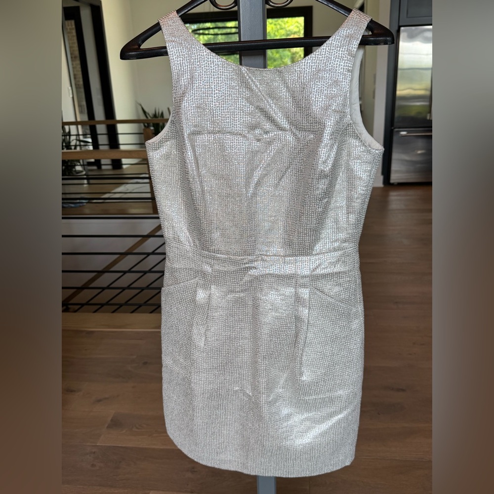 Dalia Shimmering Silver Mini Dress